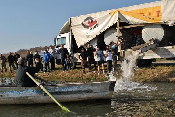 Moara Vlasiei 2 se pregateste sa doboare recordul mondial